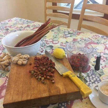 Baxter House B&B Apartment アナーバー エクステリア 写真